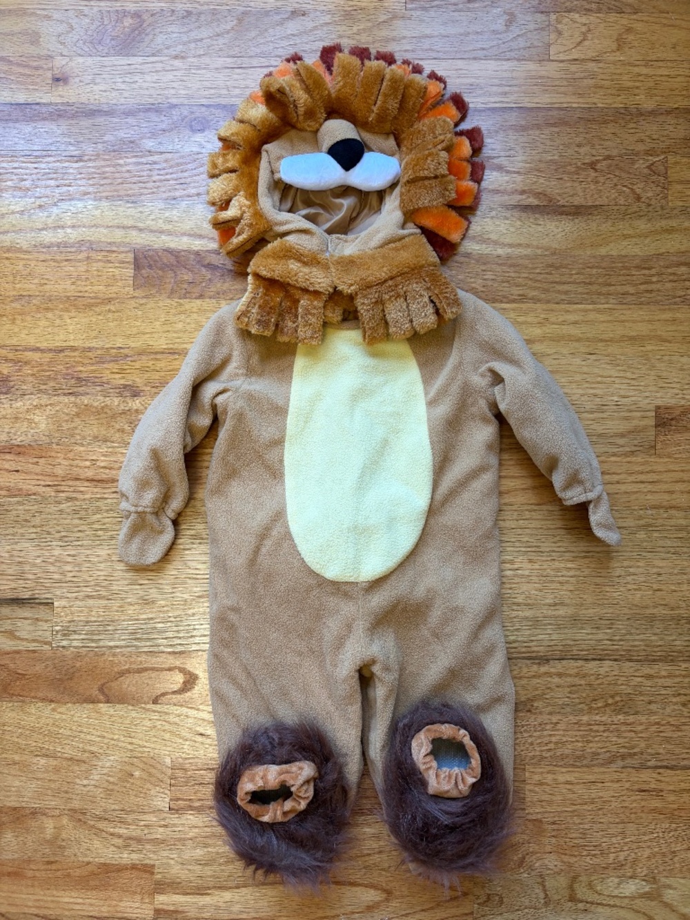 Baby Lion Costume 12-18 months
